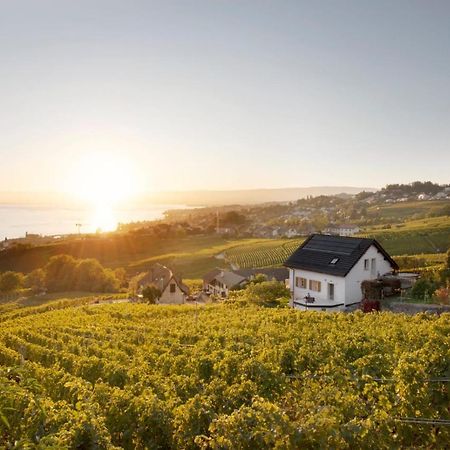 #Lavaux Hotel ลูทรี ภายนอก รูปภาพ