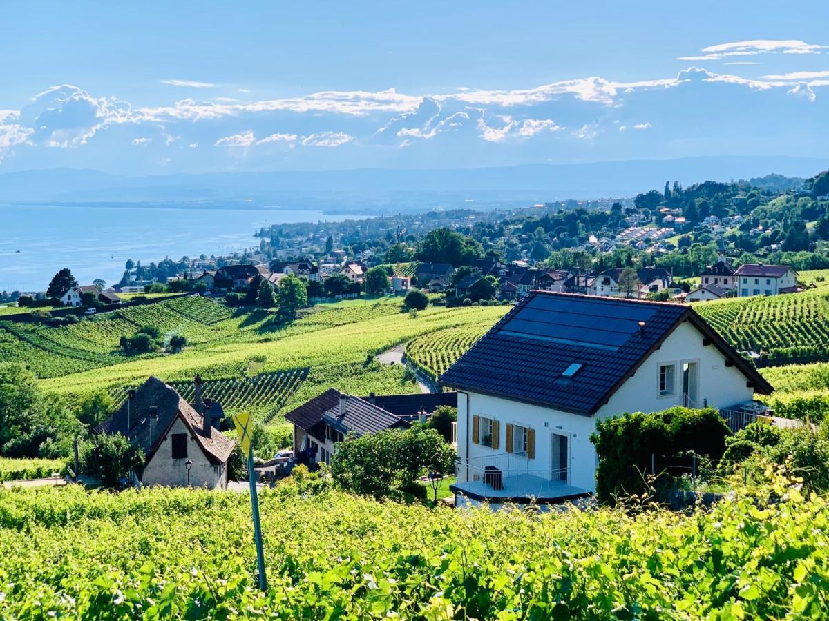 #Lavaux Hotel ลูทรี ภายนอก รูปภาพ