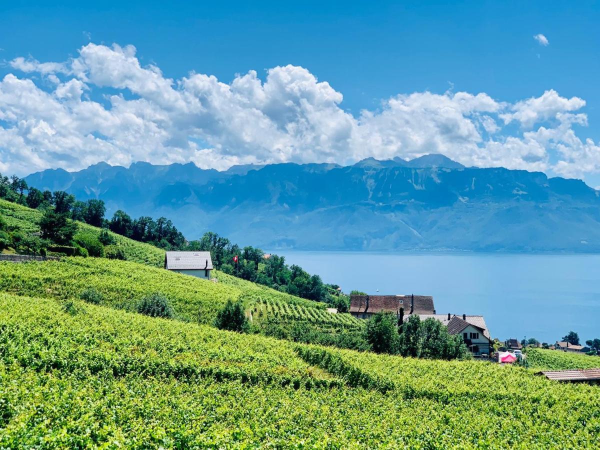 #Lavaux Hotel ลูทรี ภายนอก รูปภาพ
