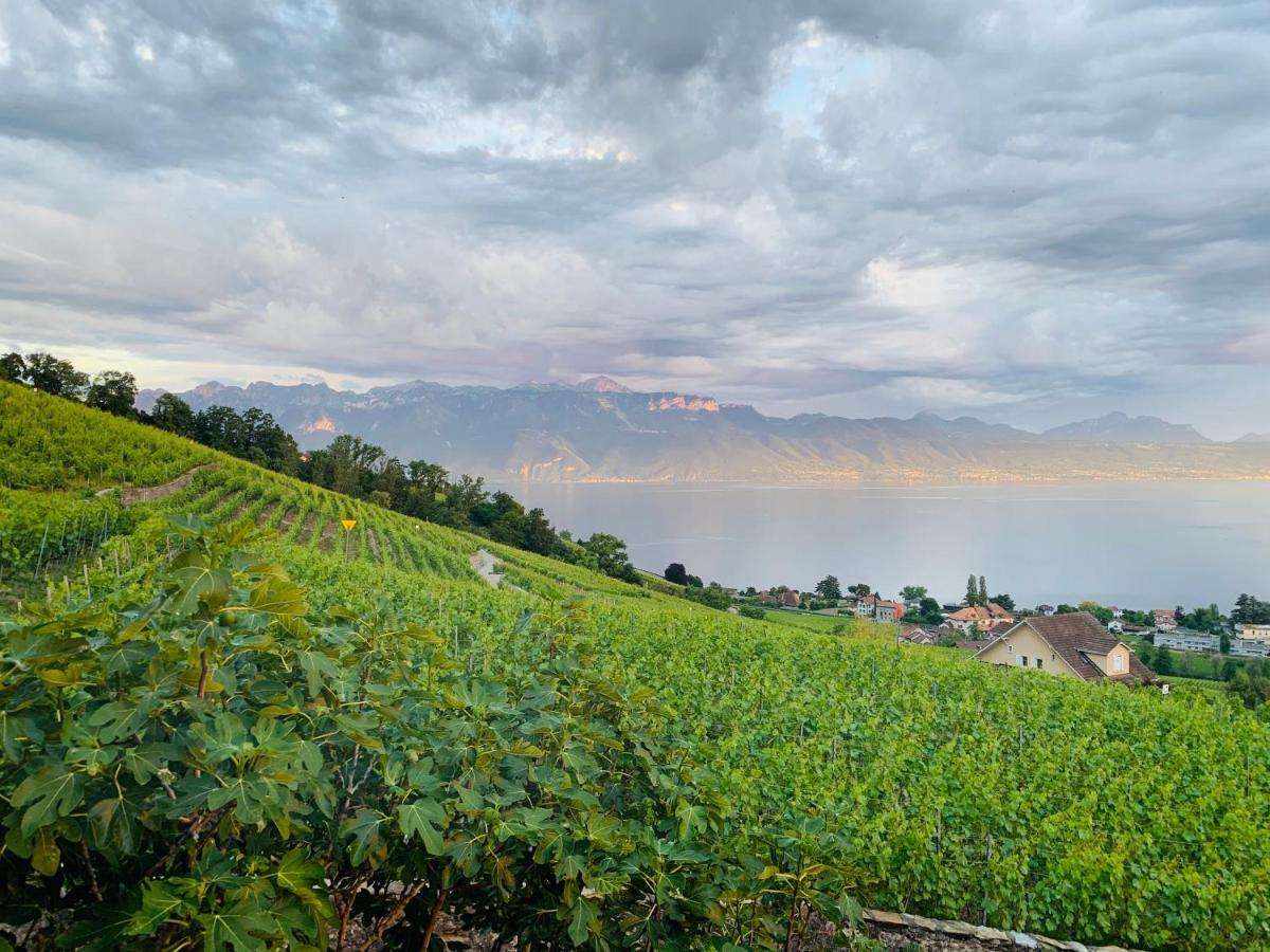 #Lavaux Hotel ลูทรี ภายนอก รูปภาพ